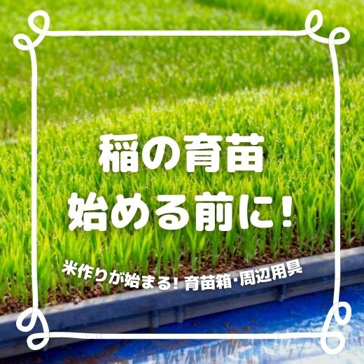 米作りが始まる！稲の育苗を始める前に揃えたい育苗箱・周辺用具