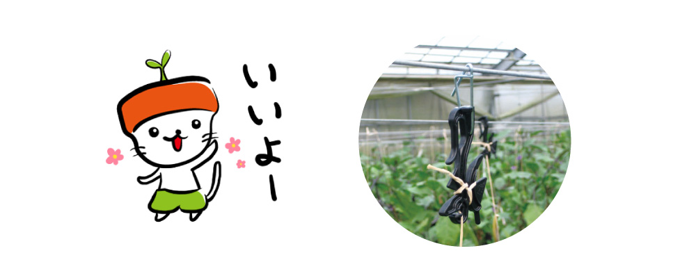 トマト誘引資材まきつけロック