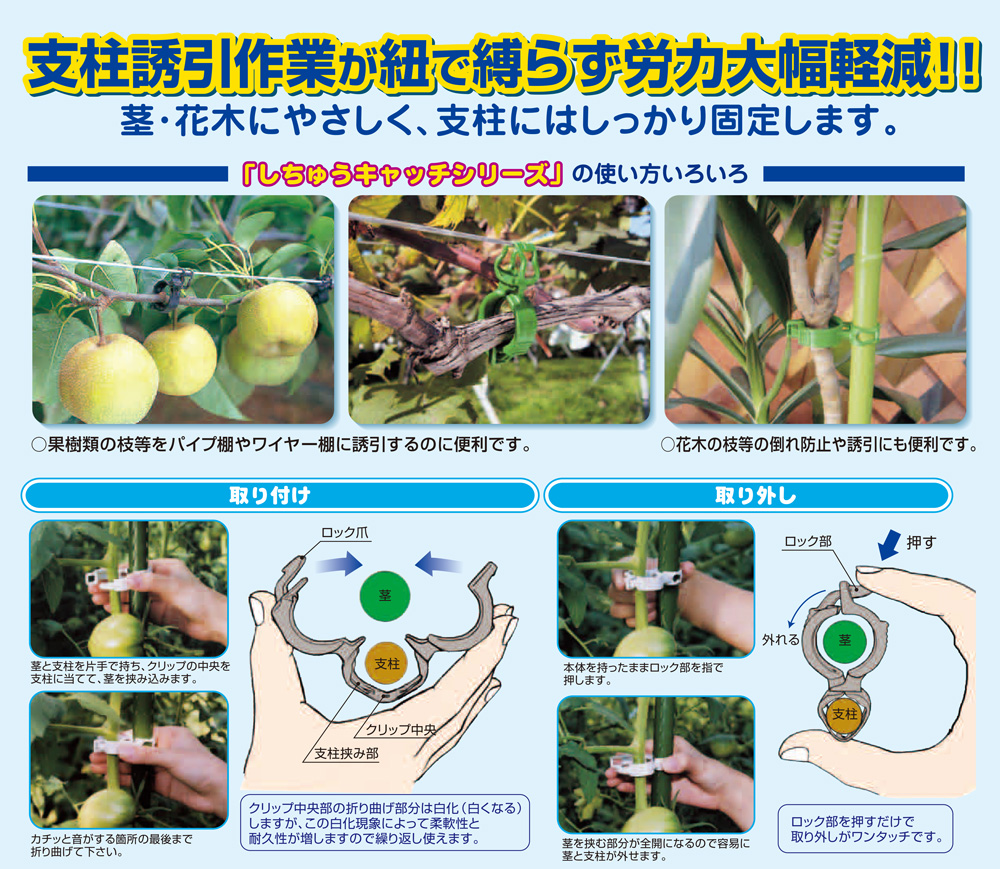 しちゅうキャッチ使用方法