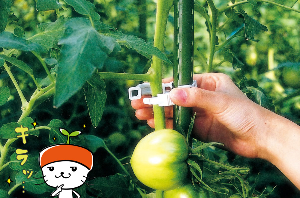 誘引の種類について。