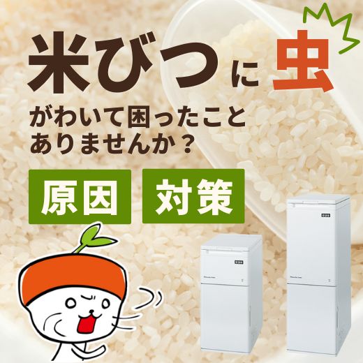 米びつに虫がわいて困ったことありませんか？原因と対策