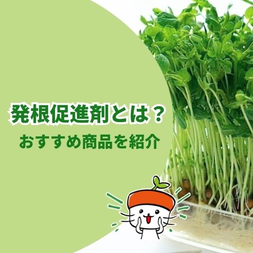 発根促進剤とは？種類や使い方、植物の健康に役立つおすすめ商品を紹介