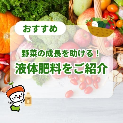 サカタ液肥GBで野菜の成長を助ける！おすすめ有機液体肥料をご紹介
