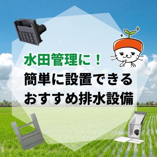 水田の排水管理に！簡単に設置できるおすすめ排水設備を紹介
