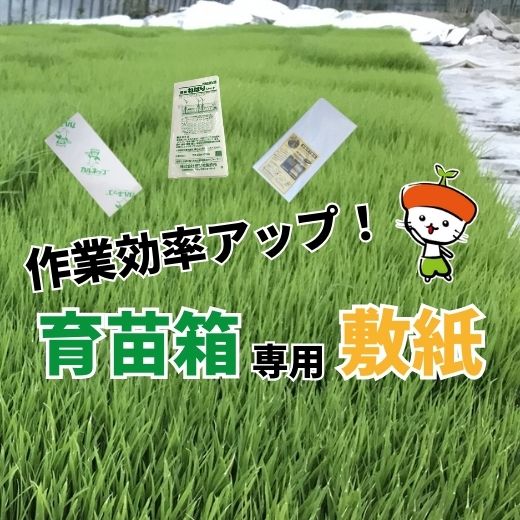 田植え作業の効率アップ！育苗箱を使用した苗づくりにおすすめの敷紙をご紹介