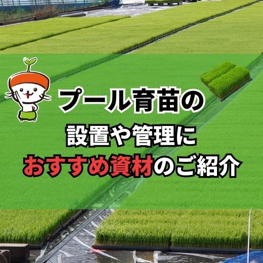 プール育苗の設置や管理に！おすすめ資材を手順付で紹介