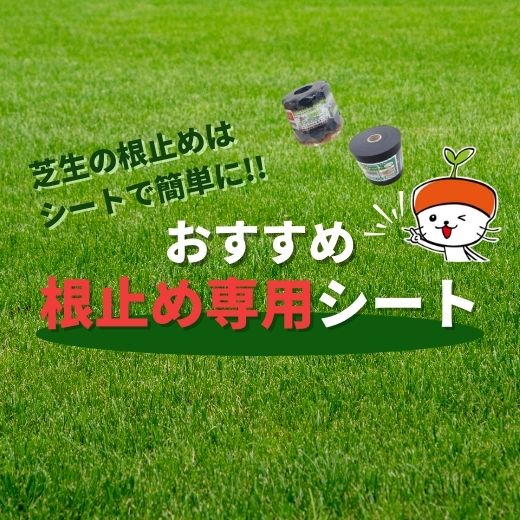 芝生の根止めはシートで簡単に！おすすめ根止め専用シートを紹介