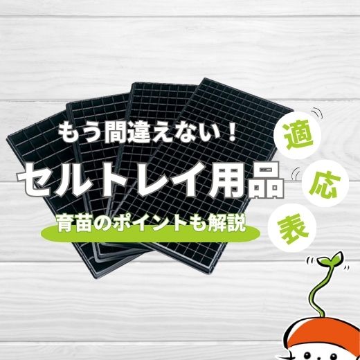 セルトレイ育苗のポイントと便利道具をご紹介！【セルトレイ用品適応表あります】