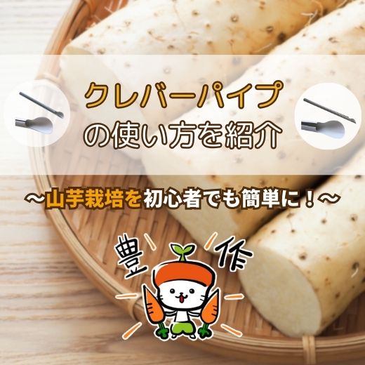 長芋･自然薯など 山芋栽培を初心者でも簡単に! クレバーパイプの使い方と栽培方法を紹介