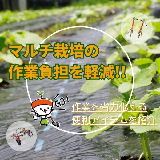 マルチ栽培の作業負担を軽減！マルチ張りや回収を省力化する便利アイテムを紹介