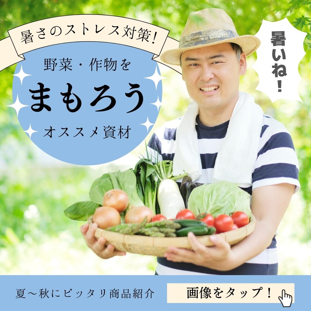 高温障害から野菜を守るには？高温・乾燥などのストレス対策におすすめの肥料をご紹介