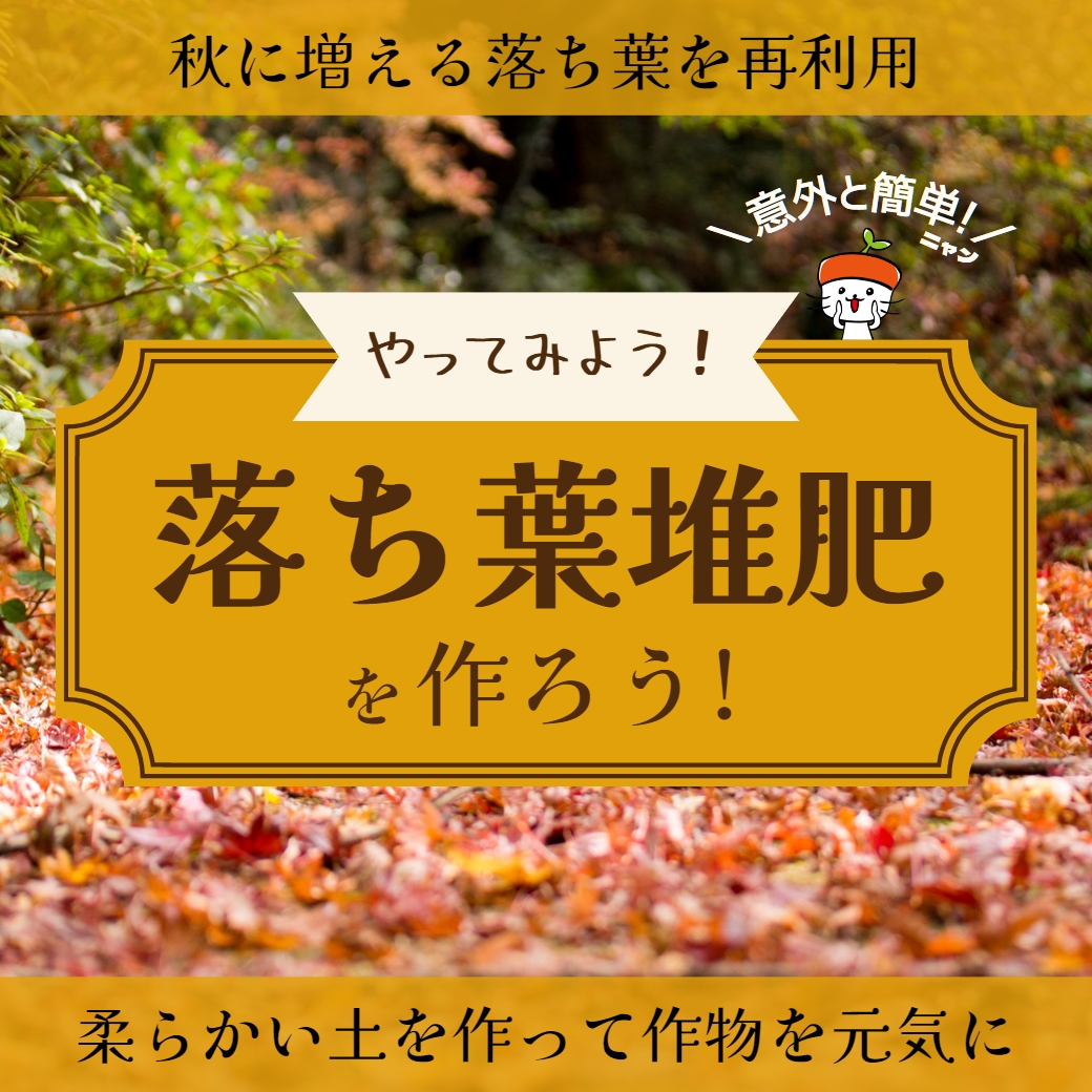 意外と簡単！家庭菜園で落ち葉堆肥を作ろう！｜いらない落ち葉でふかふかの土に