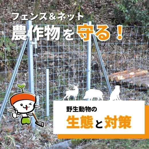 防獣ネット・防獣フェンスで農作物を守る！農地の野生動物対策とは？