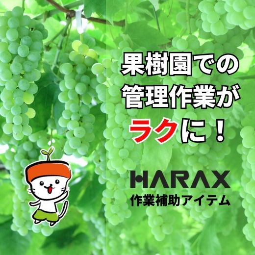 果樹園での管理作業がラクに！軽量で便利なアルミ製の作業補助アイテムを紹介