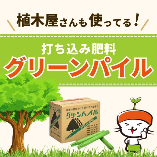植木屋さんも使ってる！打ち込み肥料グリーンパイル