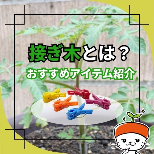 接ぎ木とは？野菜で接ぎ木を行うメリットとおすすめのアイテムを紹介