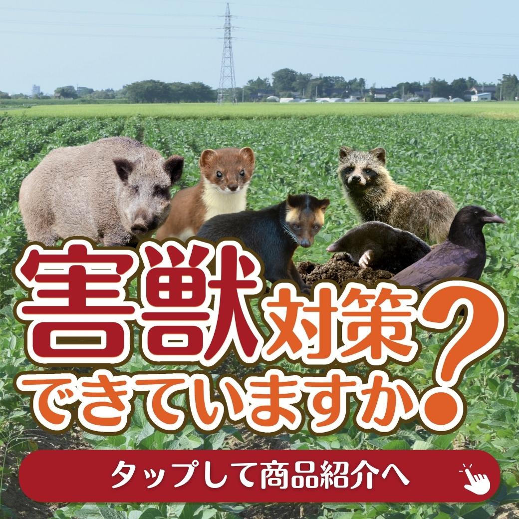 害獣から作物を守ろう! 簡単に使える防獣アイテムをまとめました