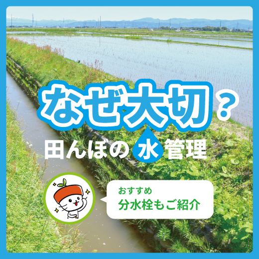 田んぼの水管理はなぜ大切？4種類の分水栓を紹介