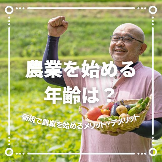 農業を始める年齢はいくつまで？新規で農業を始めるメリット・デメリットを年代別に紹介