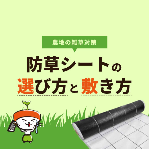 防草シートで農地の雑草対策！選び方・敷き方をご紹介