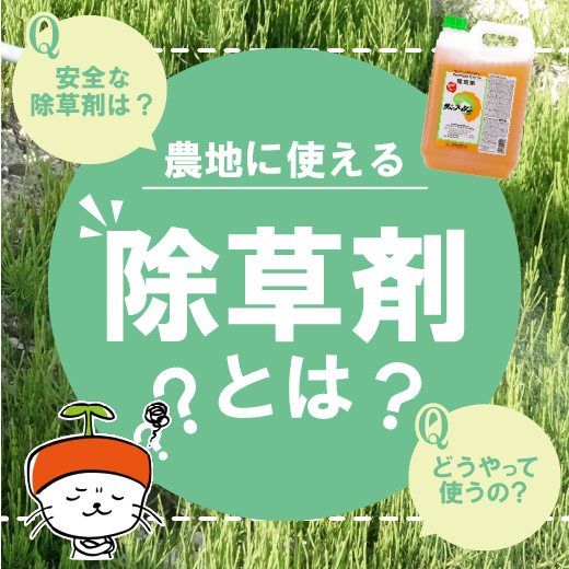 農地に使える除草剤とは？選び方・使い方のポイントを解説