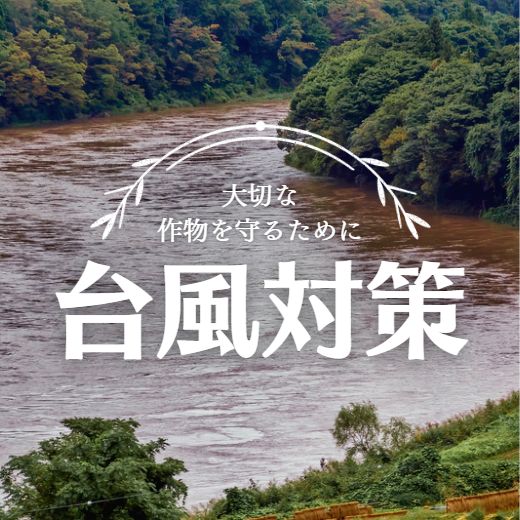 大切な農作物を守るために｜台風対策商品ピックアップ