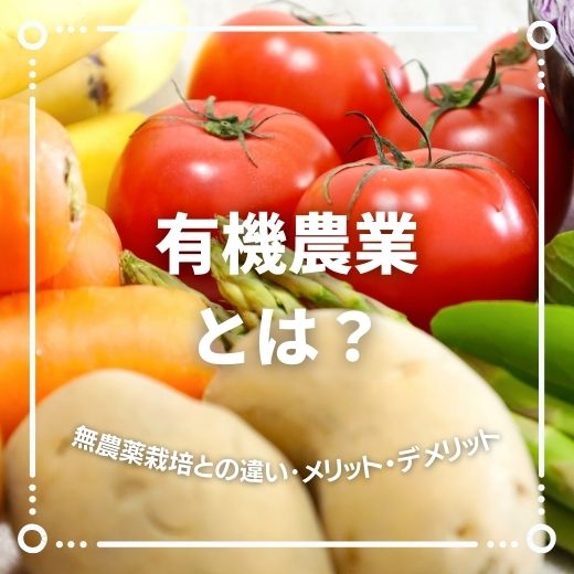 有機農業とは？無農薬栽培との違いやメリット・デメリットを解説