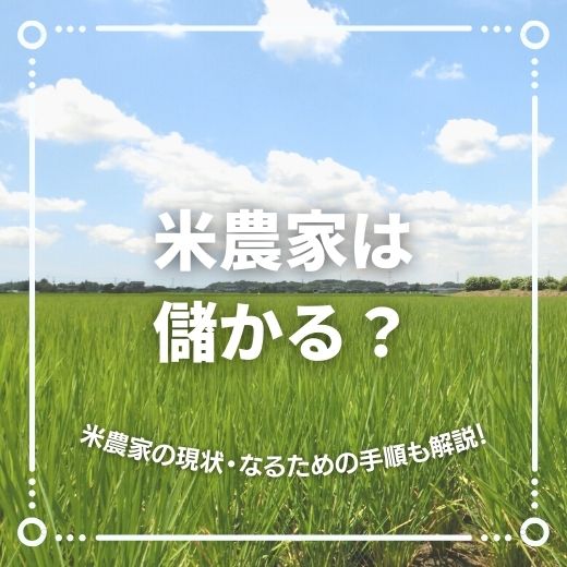 米農家は儲かる？米農家の現状や米農家になるための手順についても解説！