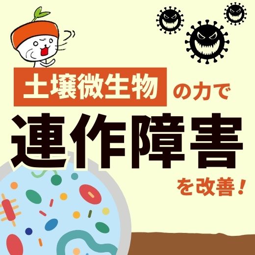 土壌微生物の力で連作障害を改善！土づくりの方法やおすすめの土壌改良材を紹介