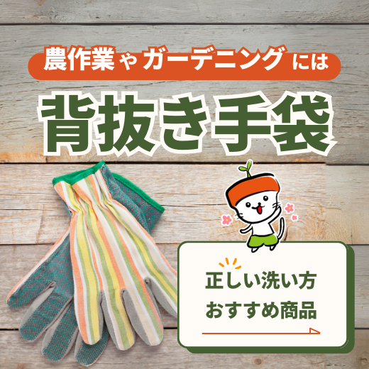農作業やガーデニングには【背抜き手袋】がおすすめ！正しい洗い方とおすすめ商品もご紹介！