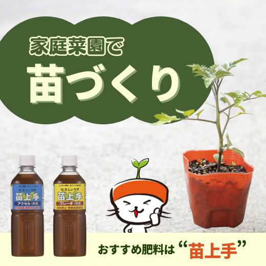 家庭菜園で苗づくり！ポイントをおさえて種から健康な苗を作ろう！おすすめ肥料は【苗上手】