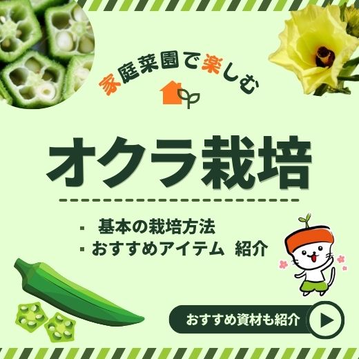 オクラ栽培入門！家庭菜園初心者でも失敗しない育て方とおすすめ商品