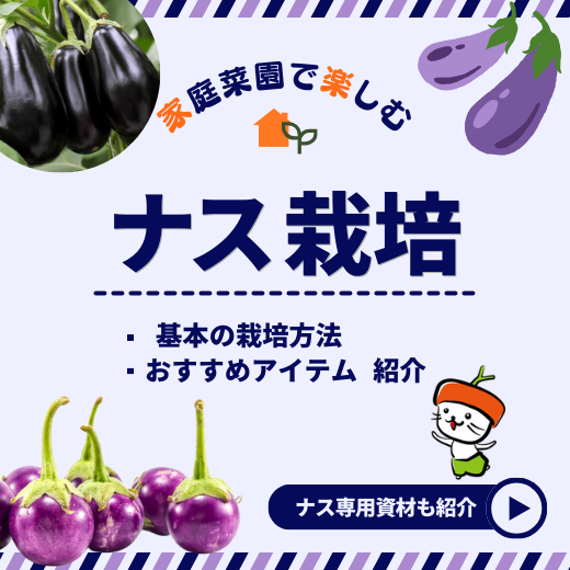 ナス栽培の基本とおすすめアイテム！家庭菜園でおいしいナスを収穫しよう