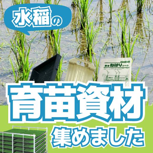 水稲の育苗に使う資材まとめました！お米農家さんに人気の田んぼ資材をまとめてご紹介