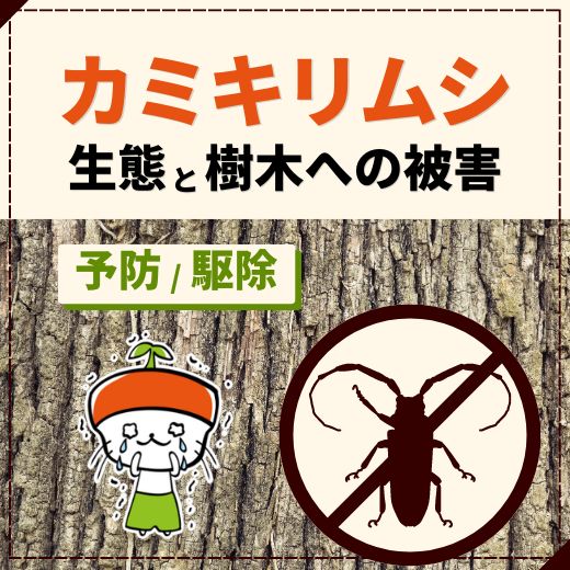 カミキリムシの生態と樹木への被害について！予防・駆除するには？