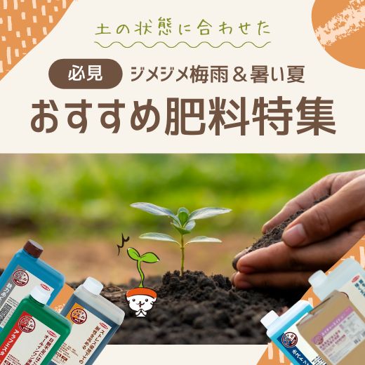 ジメジメ梅雨＆暑い夏の肥料はこれ！おすすめ肥料特集+α