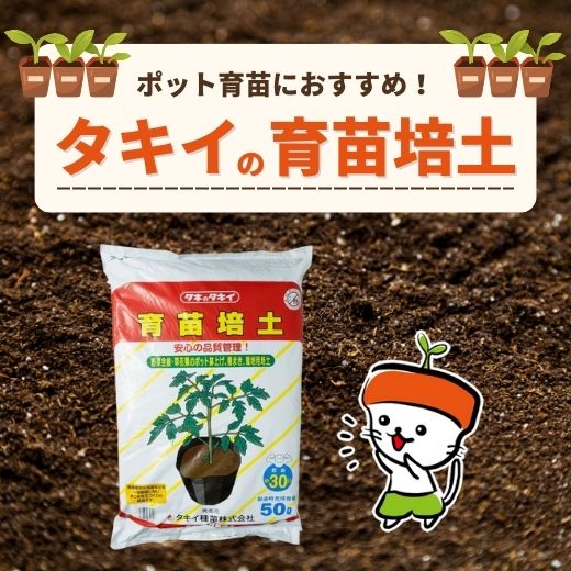 ポット育苗におすすめ！タキイの育苗培土をご紹介