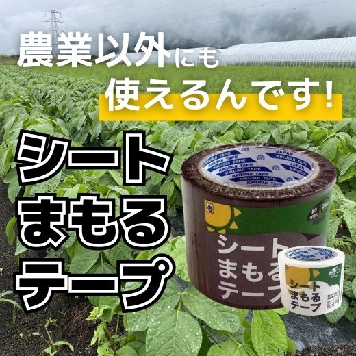 除草も補修もそのほかにも！マルチに使えるマルチテープ