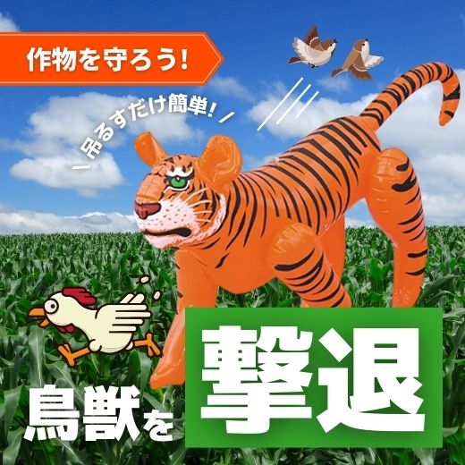 吊るすだけ！風船かかしで簡単に防獣対策！カラスやスズメ等から収穫物を守る