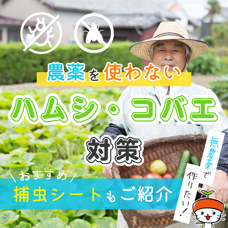 無農薬野菜を作りたい！農薬を使わないウリハムシ・コバエ対策とおすすめ捕虫シート