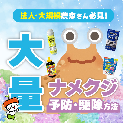 【法人･大規模農家さん必見】大量のナメクジを予防･駆除する方法｜駆除剤も紹介