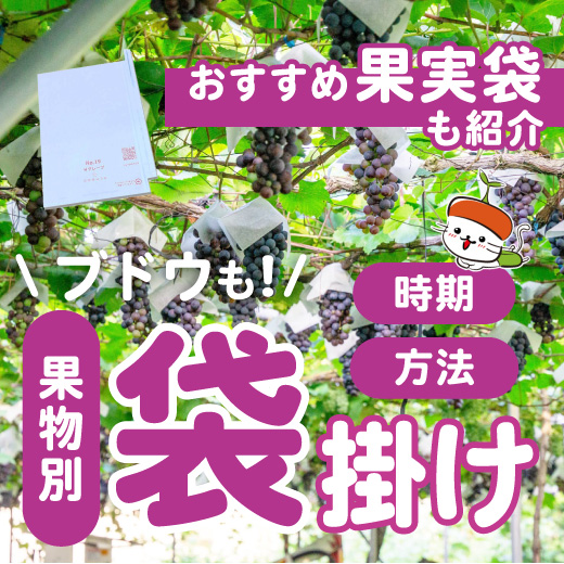 色々な果物の袋掛けを解説！最適な時期や袋の選び方とは？｜ブドウ袋掛け