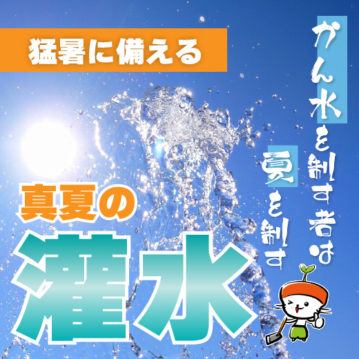 日照り・干ばつ対策に効果的な灌水方法とは？灌水チューブなどのおすすめ資材もご紹介