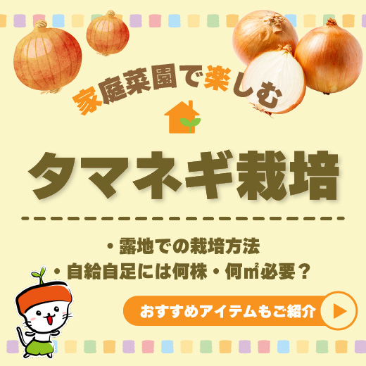 家庭菜園で玉ねぎ栽培に挑戦！初心者向けに品種・方法・必要な苗数まで詳しく解説