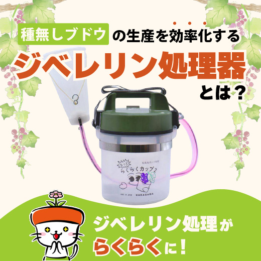 ジベレリン処理がらくらくに！種無しブドウの生産を効率化するジベレリン処理機とは？