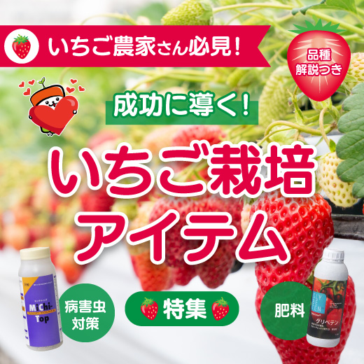 【いちご農家向け】成功へと導くおすすめ栽培アイテム！品種や栽培ポイントもご紹介｜病害虫対策・肥料など