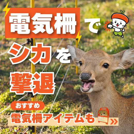 電気柵でシカ対策！効果を高める設置方法と安全な使い方を徹底解説｜おすすめアイテムも紹介